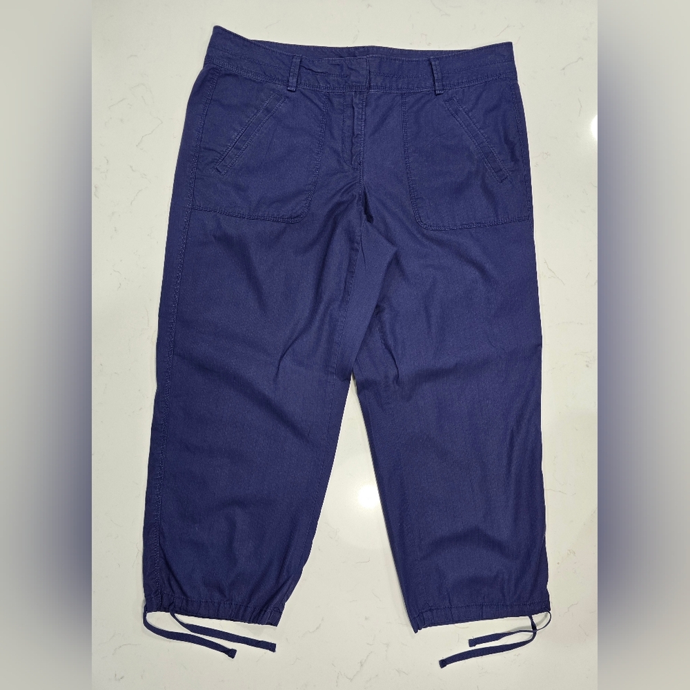 Ann Taylor LOFT Blue Cropped‎ Pants Size 6